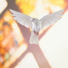 Heilige Geest - Preek - 'De Heilige Geest' - ds. P. den Butter