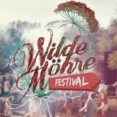 sin:port at Wilde Möhre Festival 2018