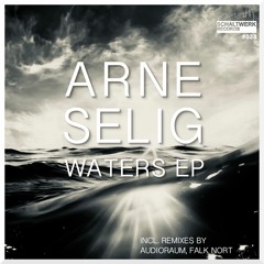 01. Arne Selig - Shallow Waters