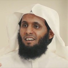 إِنَّ اللَّهَ يُدَافِعُ عَنِ الَّذِينَ آمَنُوا  - منصور السالمي