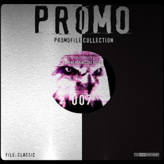 DJ Promo - Chaos in the Flesh