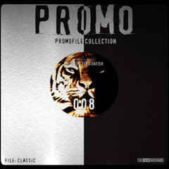 DJ Promo - Life from the Other Side