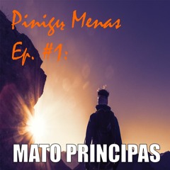 Pinigų Menas Ep. #1: Mato Principas