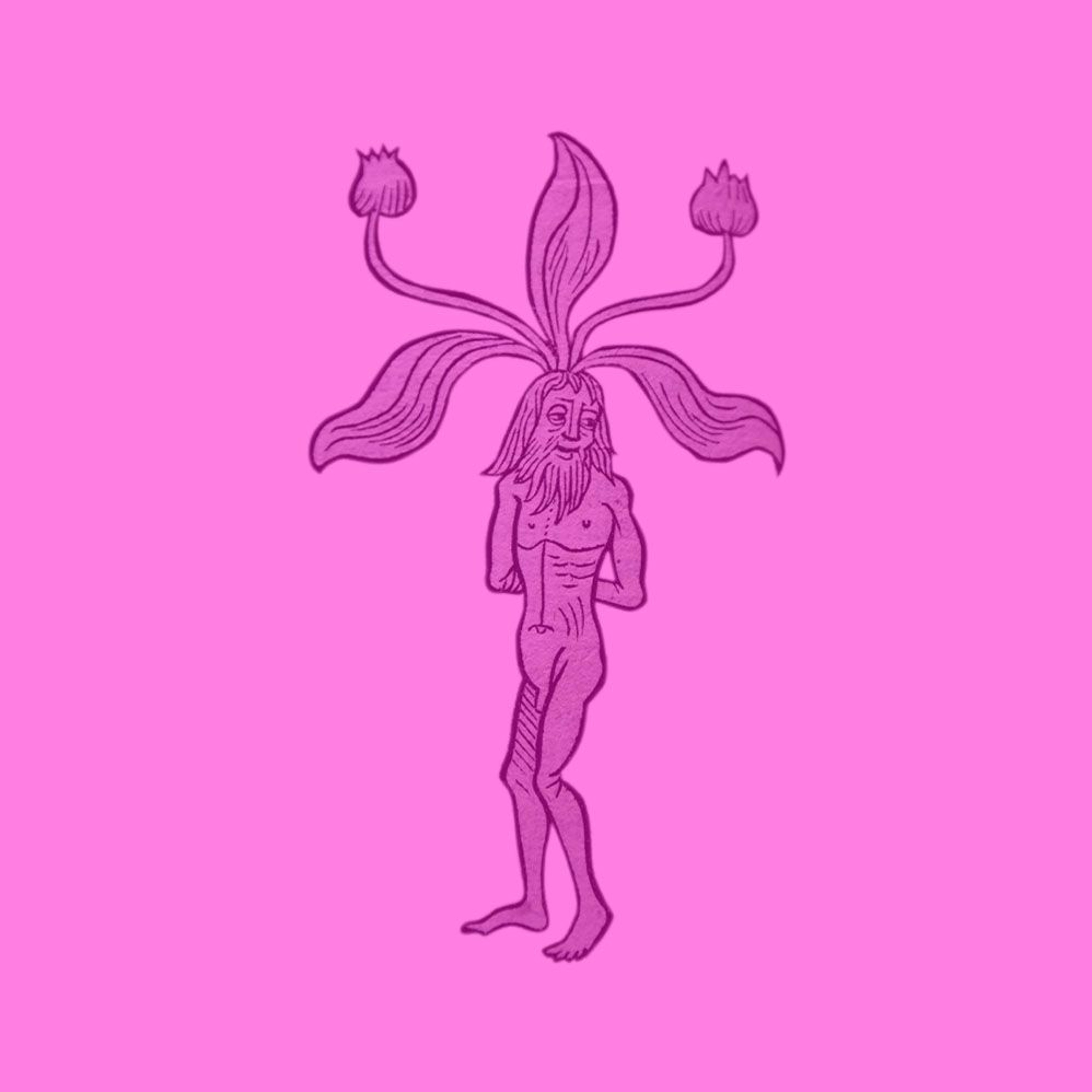 Linnean Podcasts