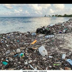 Bigg Tree ft. Jon Joe- Trash