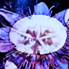 BEING: Guru Mantra (chapter 4)