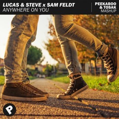 Lucas & Steve x Sam Feldt - Anywhere On You (Peekaboo & TOSAK Mashup)