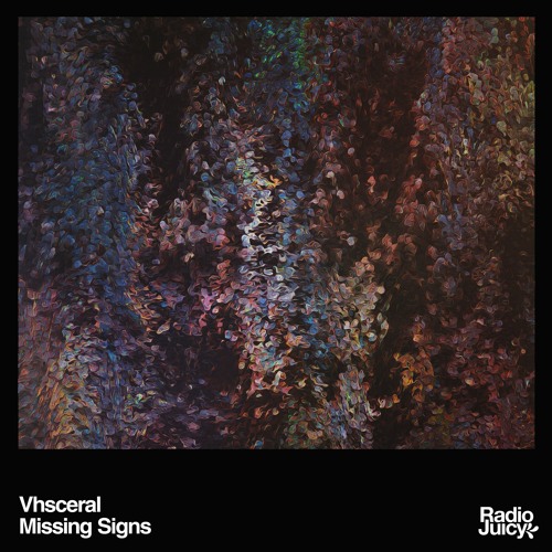 Vhsceral - Missing Signs