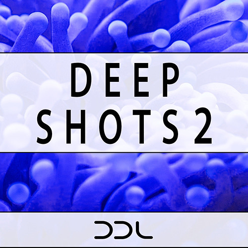 Deep Data Loops Deep Shots 2 WAV-DISCOVER