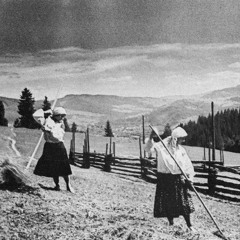 Choir-fantasy based on ukrainian folk song (2007)