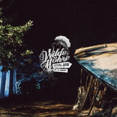 Wilde Möhre Festival 2018