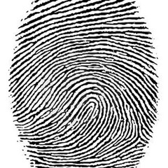 Maximilian & Gus - Kalim