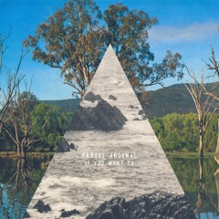 Ready To Go For A Walk