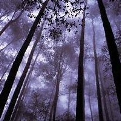 Webbe - Haihtuu