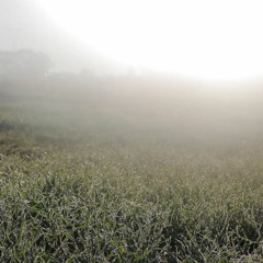 10 Aug Kozyczkowo 2018