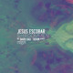 on Jesus Escobar - Shroommen (Dovim Remix)