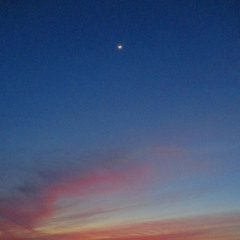 Night Shimmer