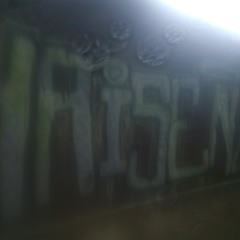 RoughStuff -Korggescherbel