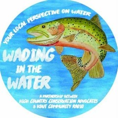 Wading In The Water August 15, 2018 - Alpine Environmental Cosultants