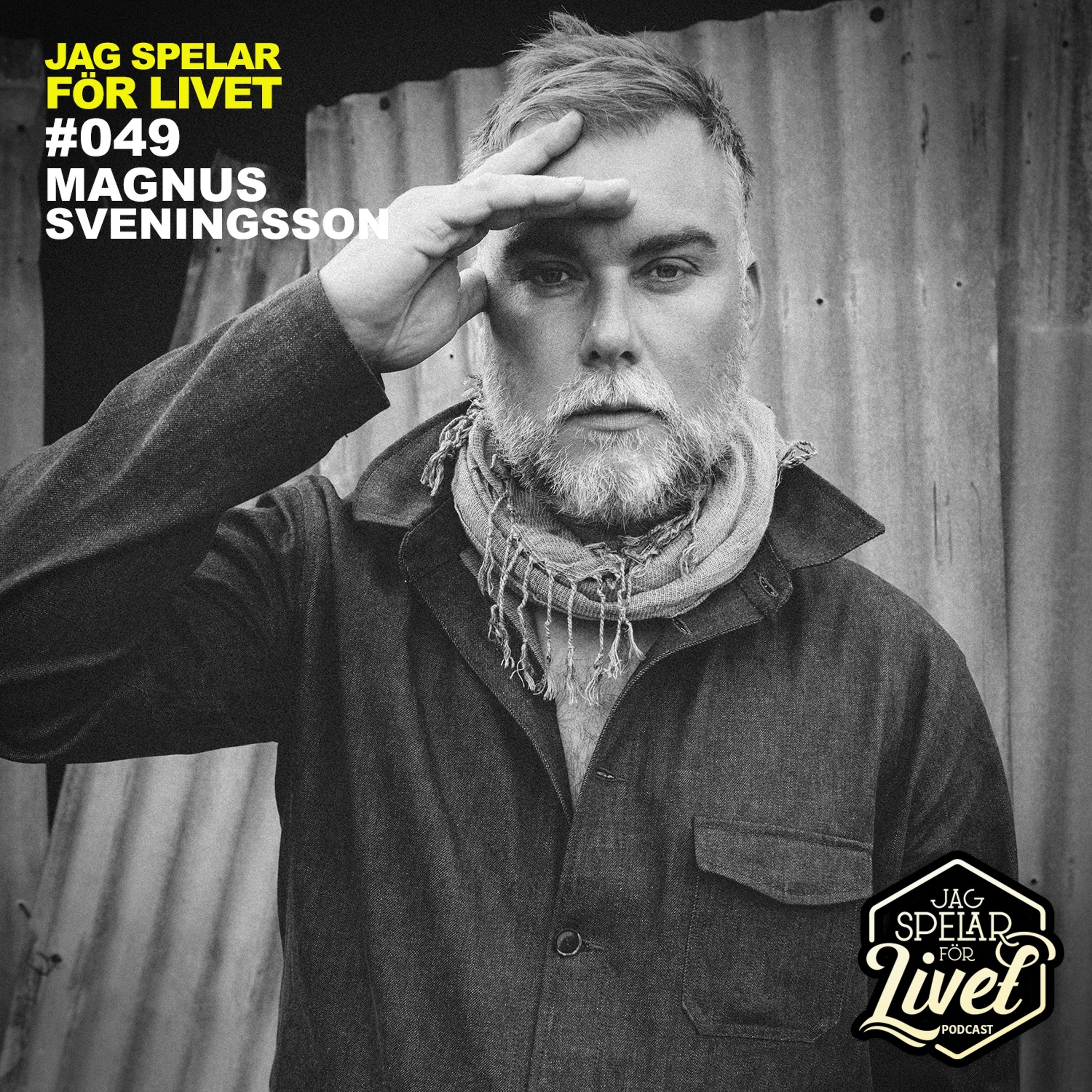Jag Spelar för Livet - Musiker om Musik