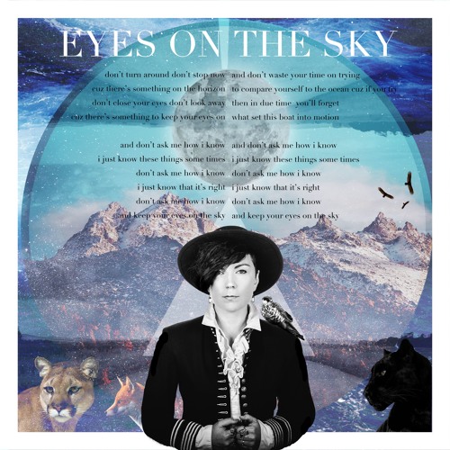 Eyes on the Sky