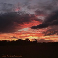 lucid prod. lucidsoundz