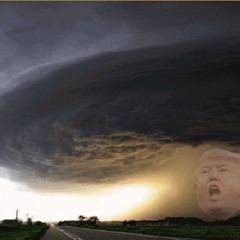 Perfect Storm