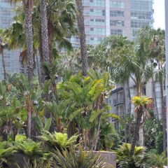 PASSIVE AGRESSIVE feat. Ebgogl and Jacko (prod. n8sk8 and wyatt b)