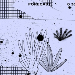 Related tracks: Forecast 030: Doppelate