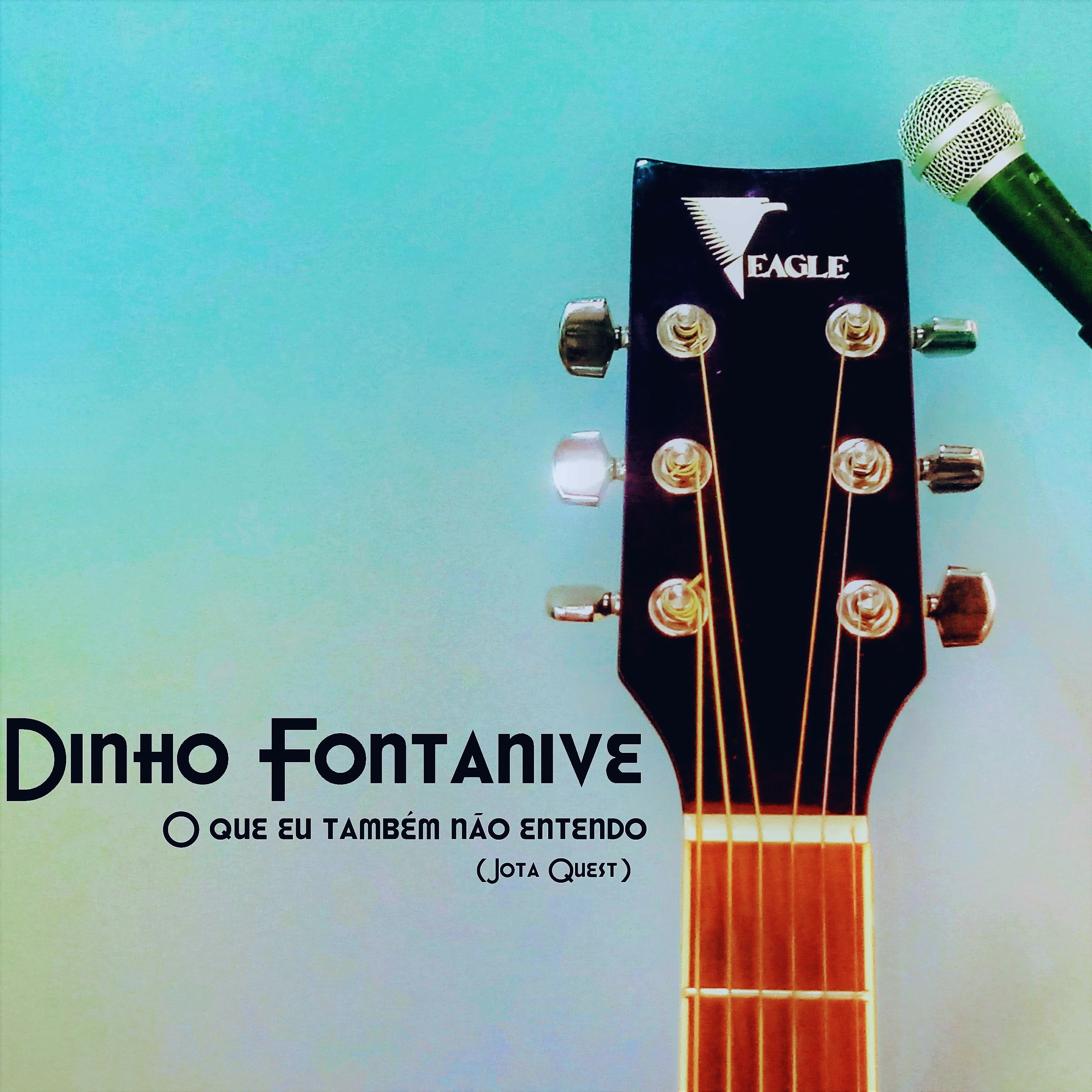Dinho Fontanive