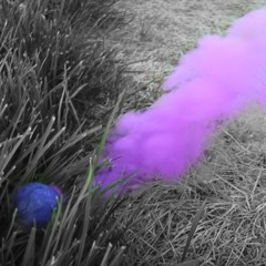 Purple Bomb - Herobust x Virtual Riot