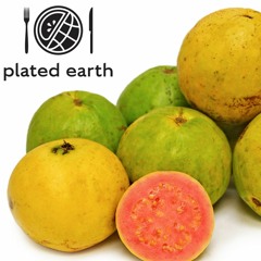Episode 65 - Food Buzz: History of Guavas