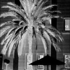 My Soul Left In Cali