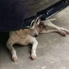 Coexistencia Paralela