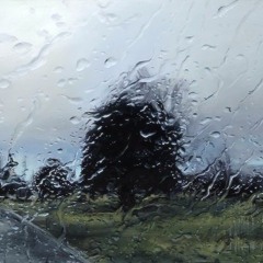 Rain Once Heard