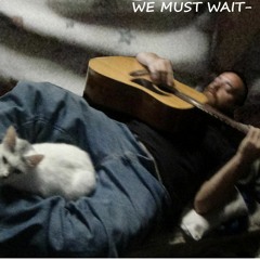 WE MUST WAIT - Acoustic