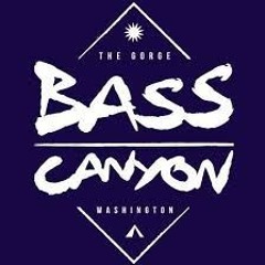 Road to Bass Canyon Vol 1