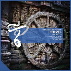 PREMIERE: Frezel - Live in the Moment (Original Mix) [Suffused Music]