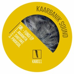 SØL - 'Fungi EP' [KAB011] *Showreel*