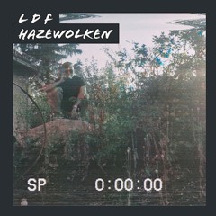 LDF - Kreislauf ( prod. Homage)