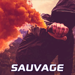 🔥 Instru Type Ninho 2021 x SCH x Lacrim Type Beat 2021 | Instru Trap Lourd | Sauvage