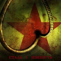 Південно - Західна Залізниця (СТАЛЬ І НІЖНІСТЬ)