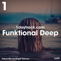 Talent Mix #102 | Roger Helmus - Funktional Deep | 1daytrack.com