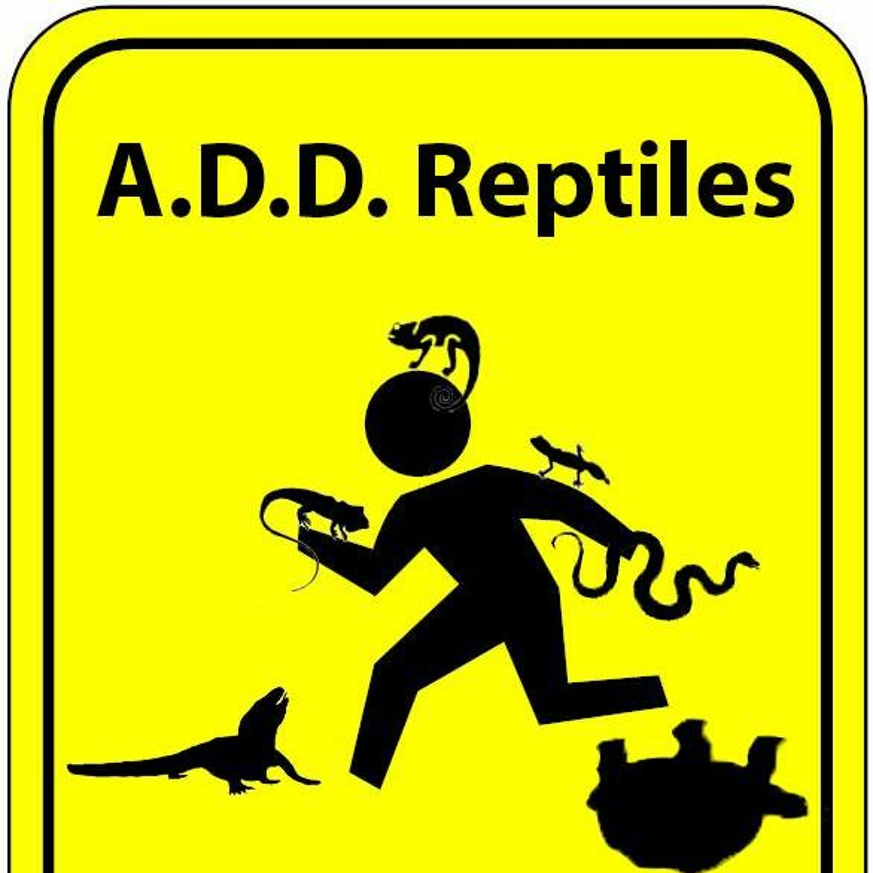 Modern Medusa Reptile Podcast - Where we talk everything cold-blooded (Snake Podcast)