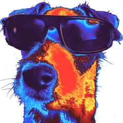 DOGGOMUZIK ----- Glitter Ballz