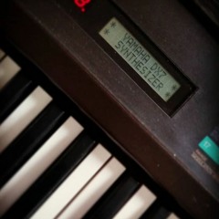 i let my cat into space with my DX7