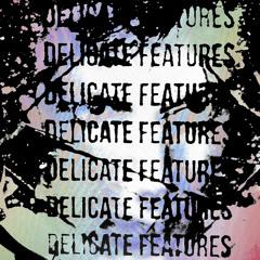 PREMIERE: Delicate Features - Attached [Freeride Millenium / Pauls Musique]
