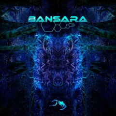 Bansara - Homecoming [Mindspring Music]