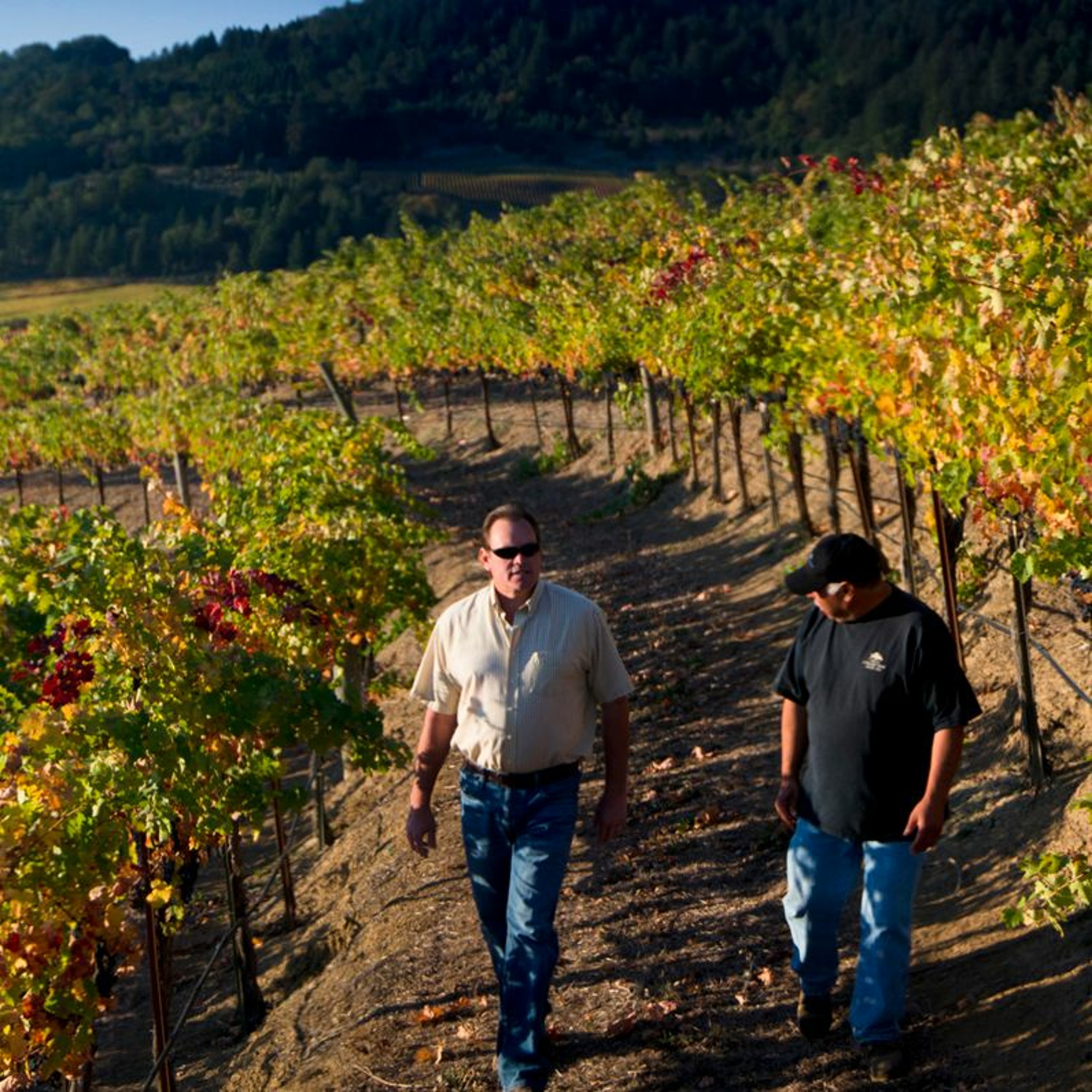 Wine Podcast: The Honest Pour with John Lenart