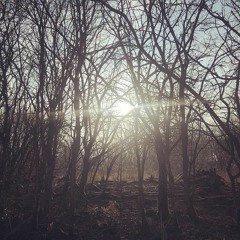 Juan Martin C - For Your Pleasure